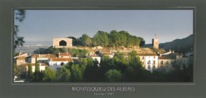 carte postale panoramique